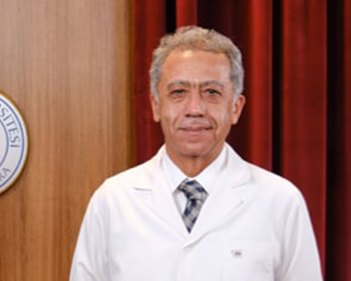 Prof. Dr. Süleyman ÖZDEMİR